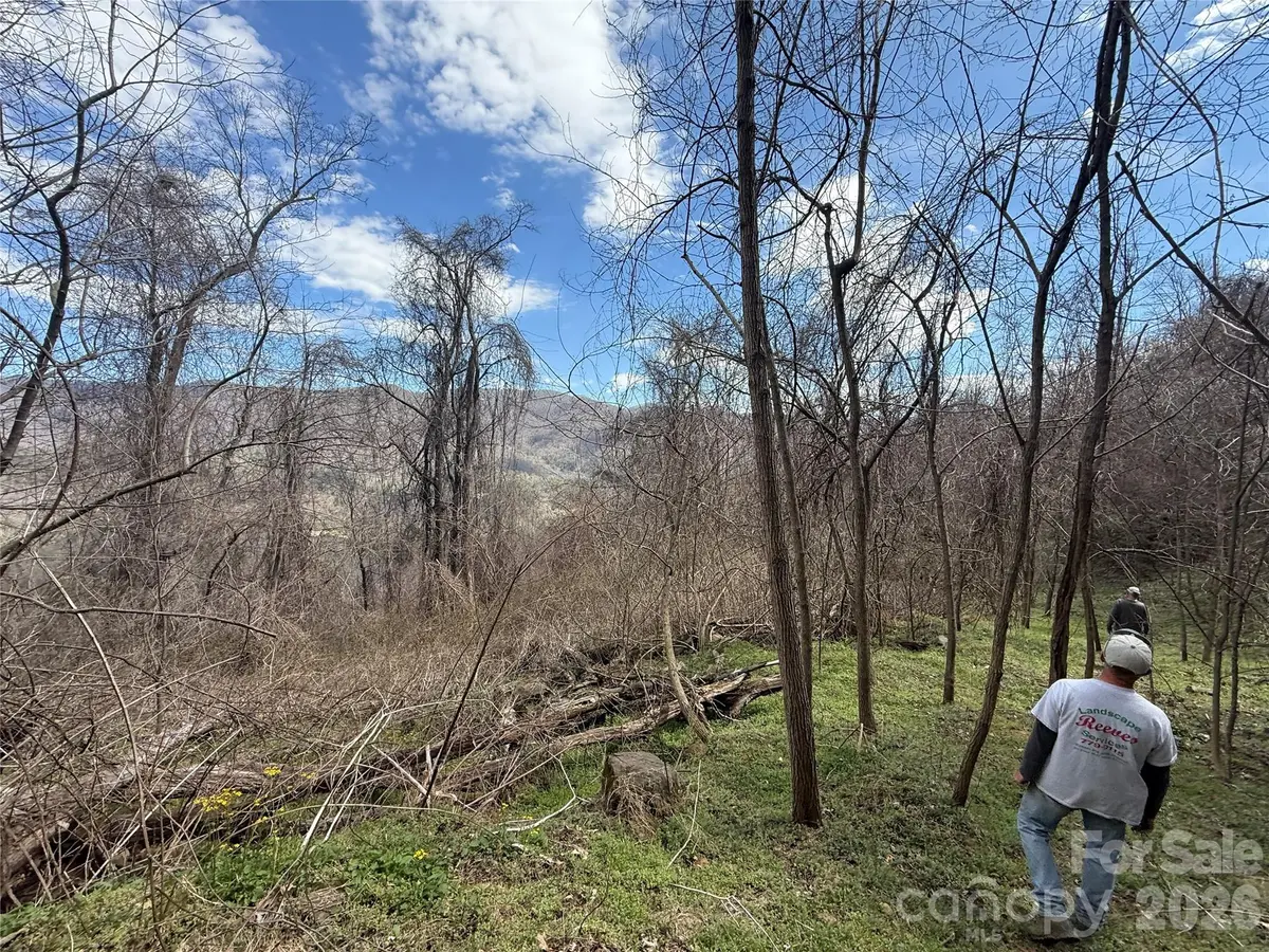 000 Caldwell Mountain RD, Hot Springs, NC 28743