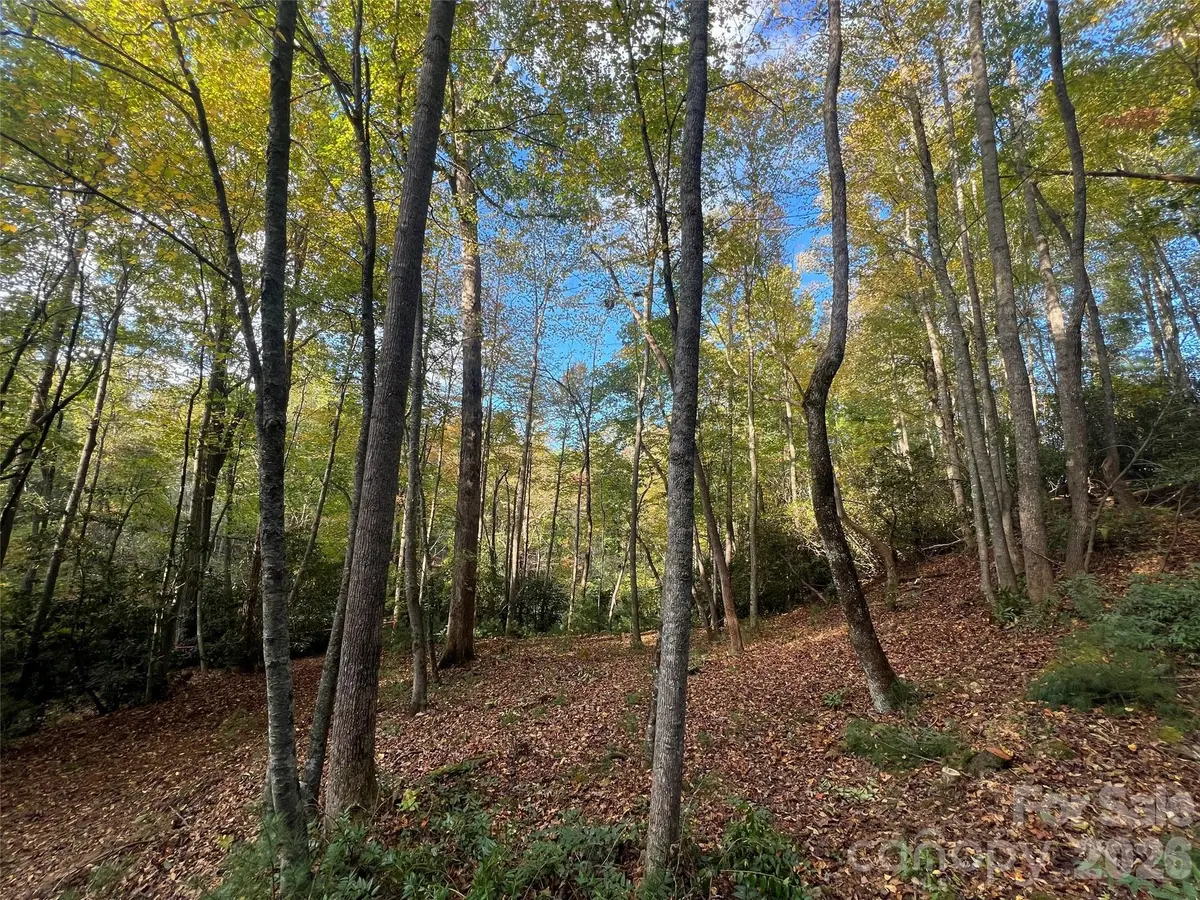6 Dividing Ridge TRL #01, Arden, NC 28704