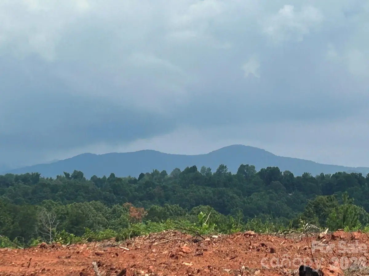 TBD Lotus DR #20, Nebo, NC 28761