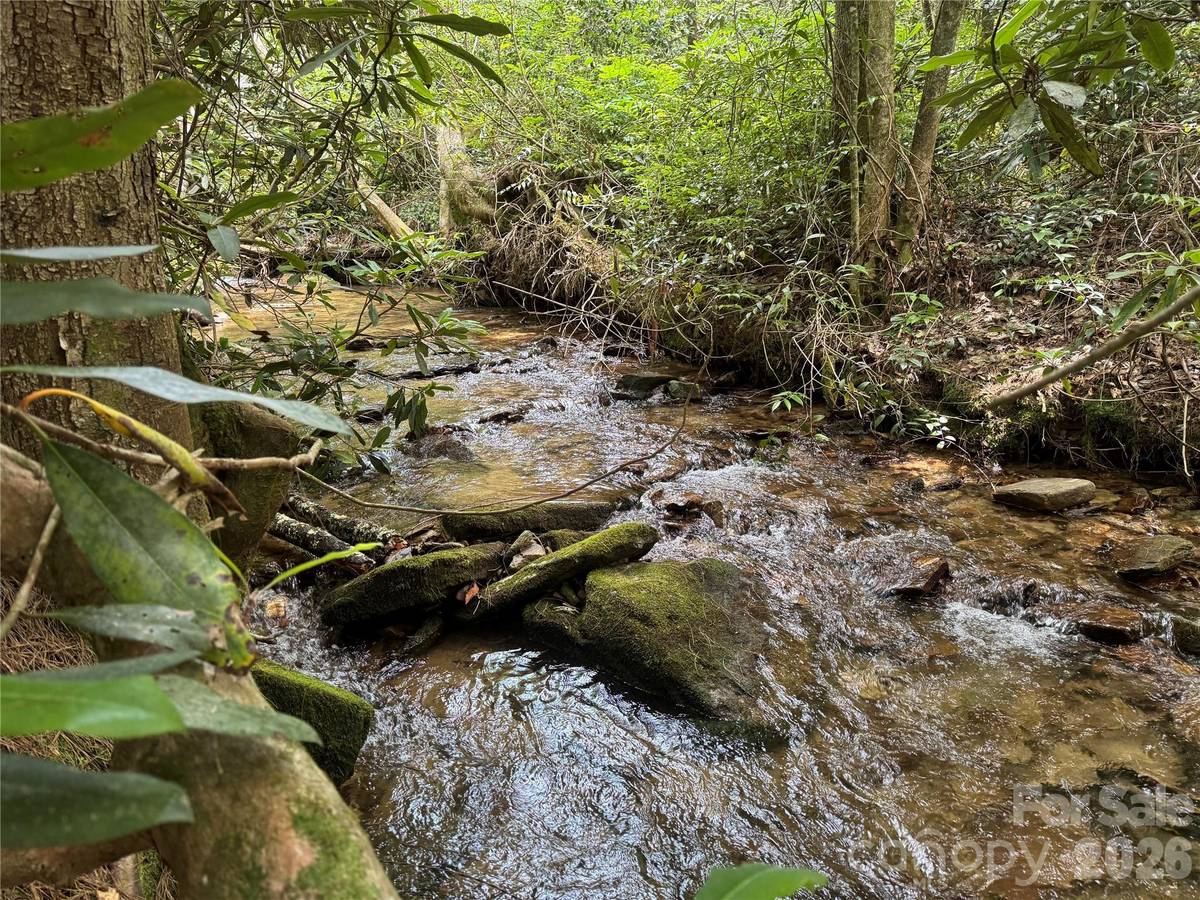 Lot 45 Abby Falls DR, Rosman, NC 28772