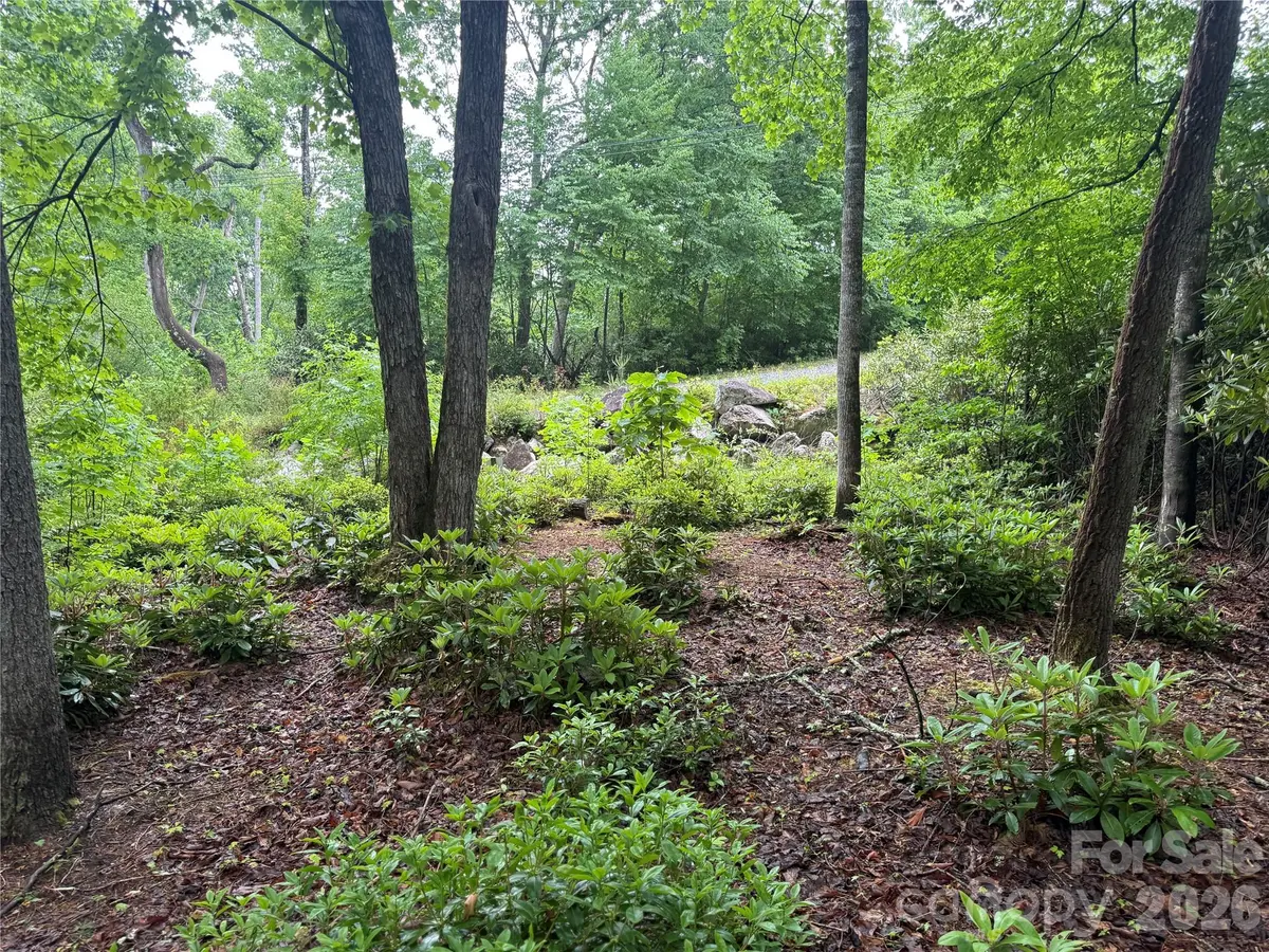 TBD Dogwood TRL, Spruce Pine, NC 28777