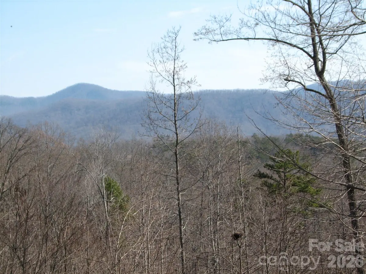 000 Meditation Ridge RDG #21,22, Nebo, NC 28761
