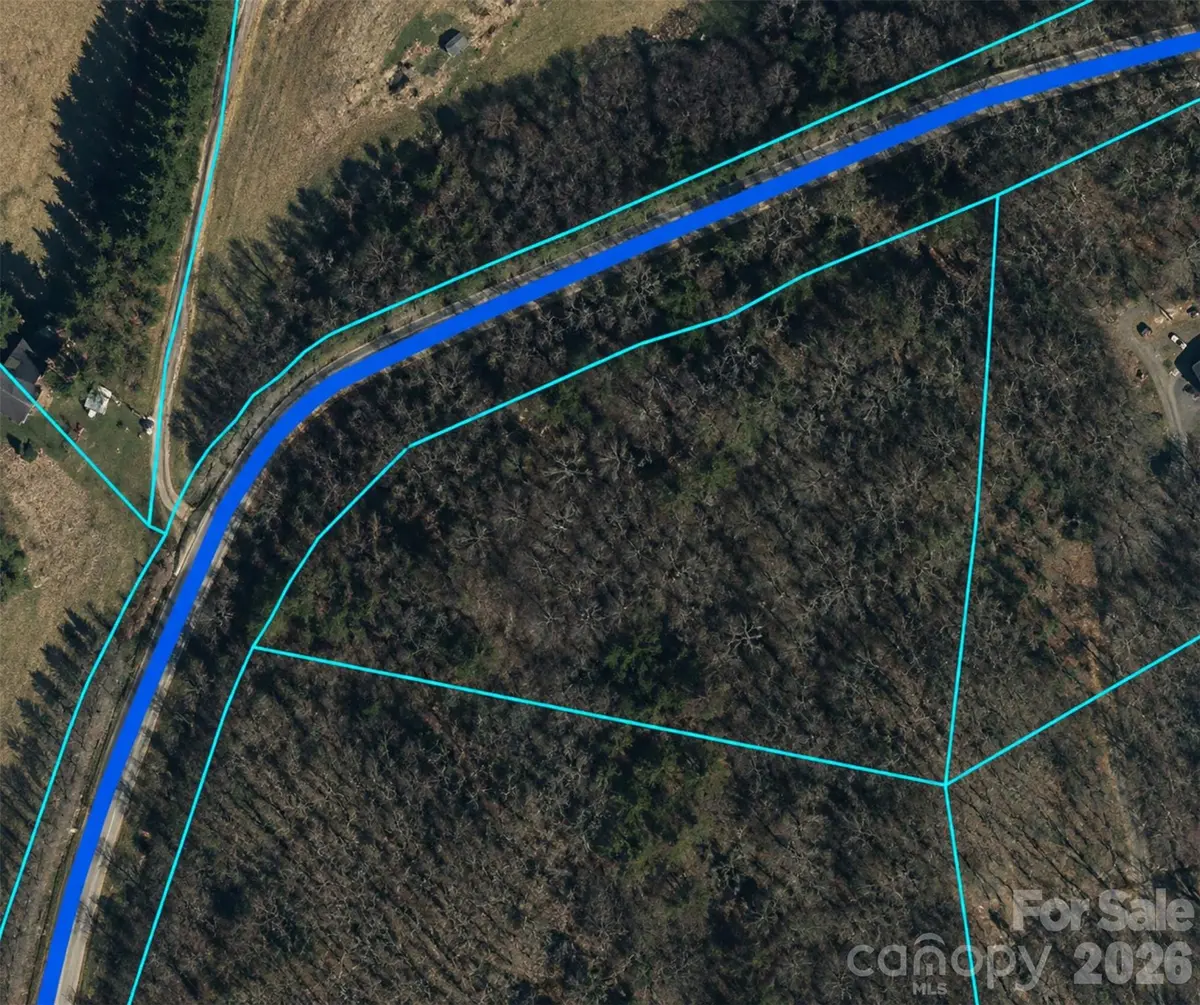 0 Clarks Branch RD, Leicester, NC 28748