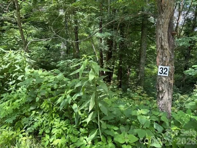 Lot 32 Toi TRL #32, Maggie Valley, NC 28751