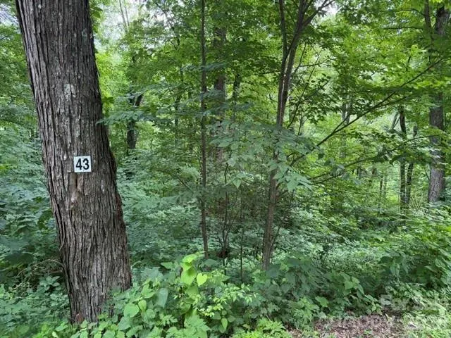 Lot 43 Gata TRL #43, Maggie Valley, NC 28751