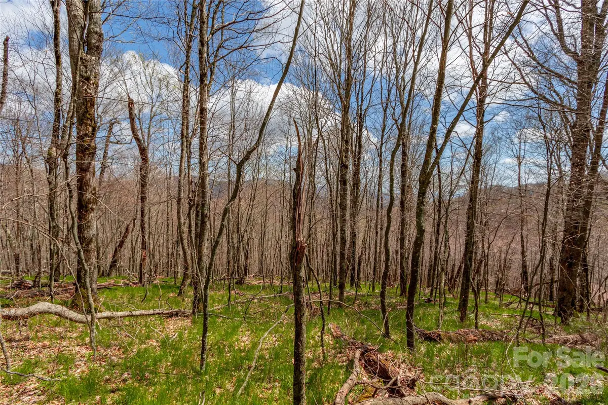 lots 4,5 & 7 Mule Trail DR, Bakersville, NC 28705
