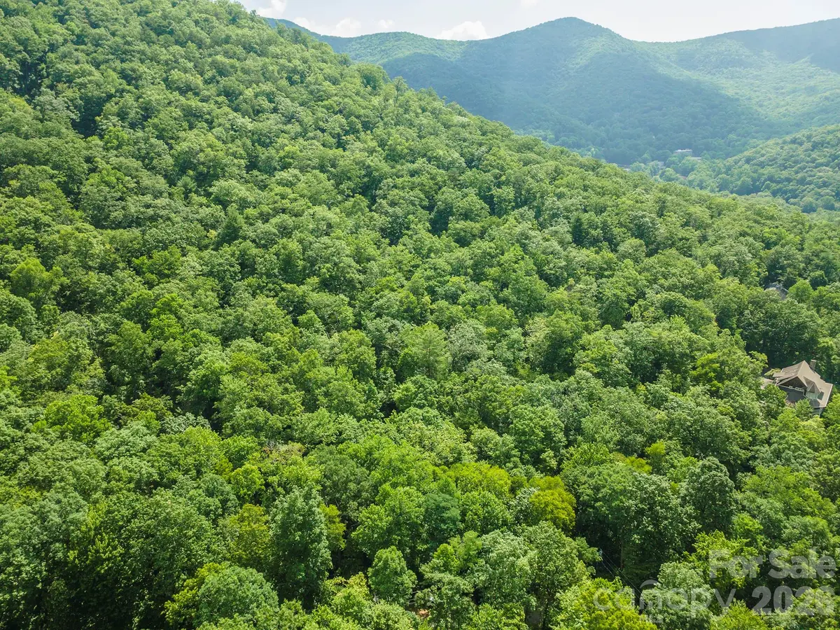 212 Harmony LN, Montreat, NC 28757