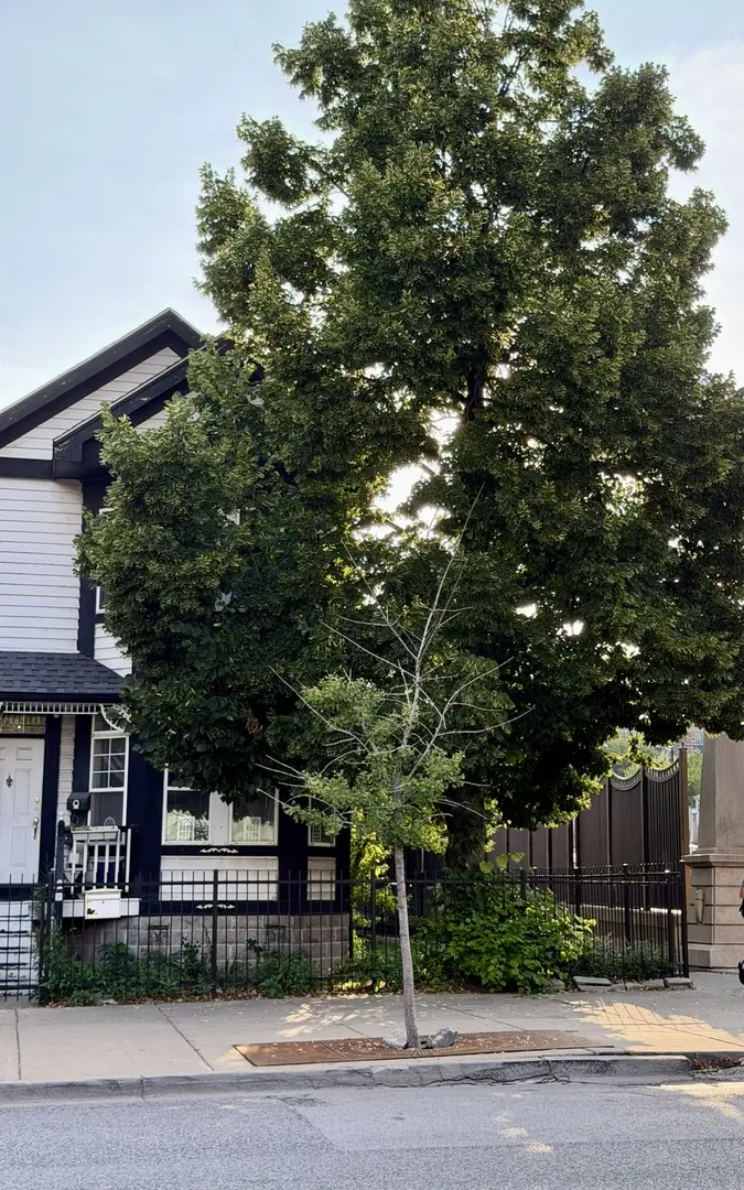 Address not disclosed, Chicago, IL 60605