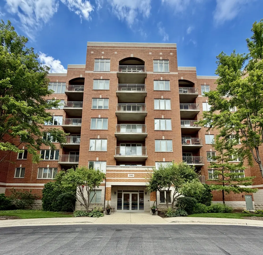 390 S Western AVE #204, Des Plaines, IL 60016