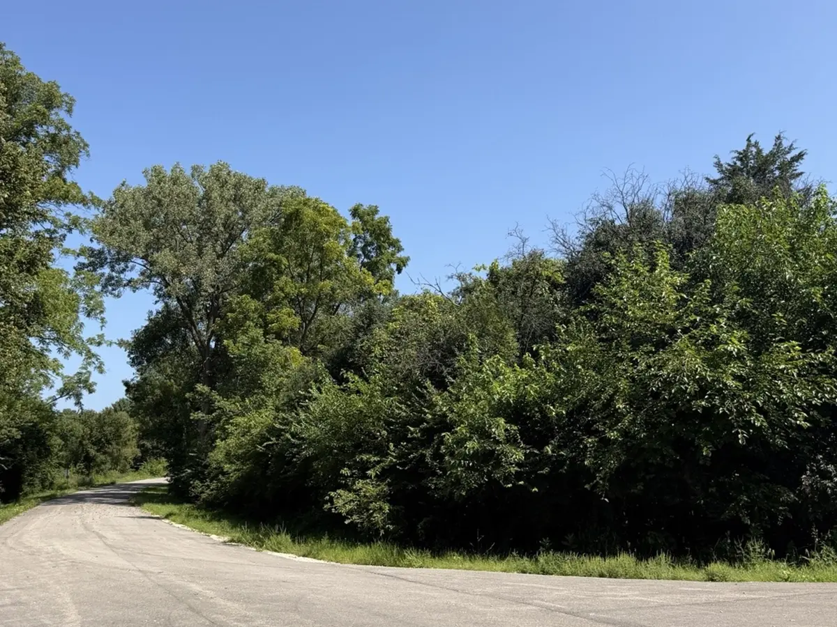 S Maplewood DR, Wonder Lake, IL 60097