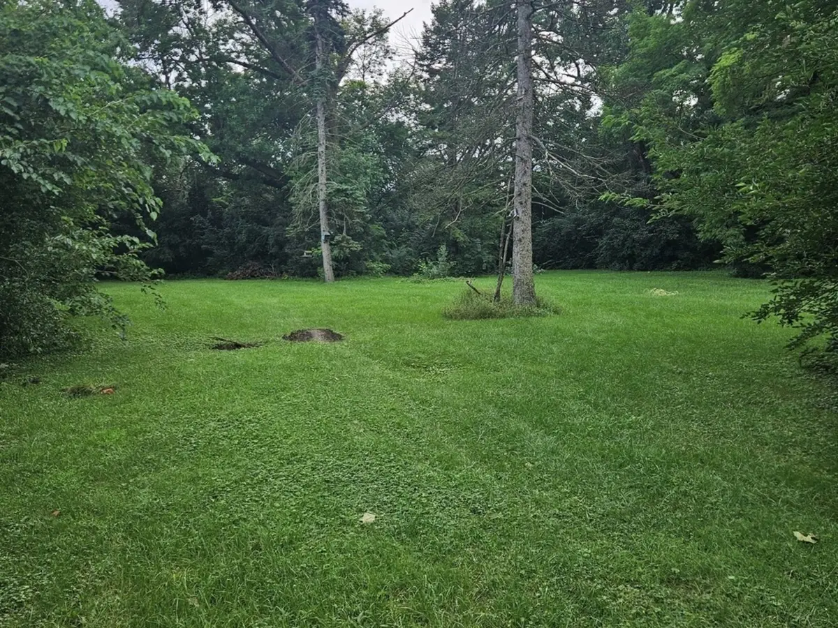 419 W 63rd ST, Westmont, IL 60559