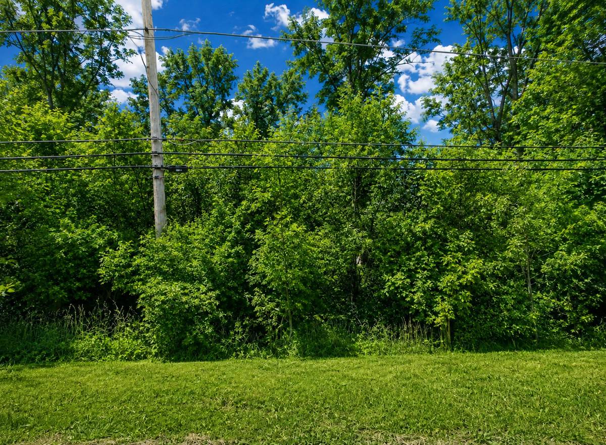 42750 N Lake AVE, Antioch, IL 60002