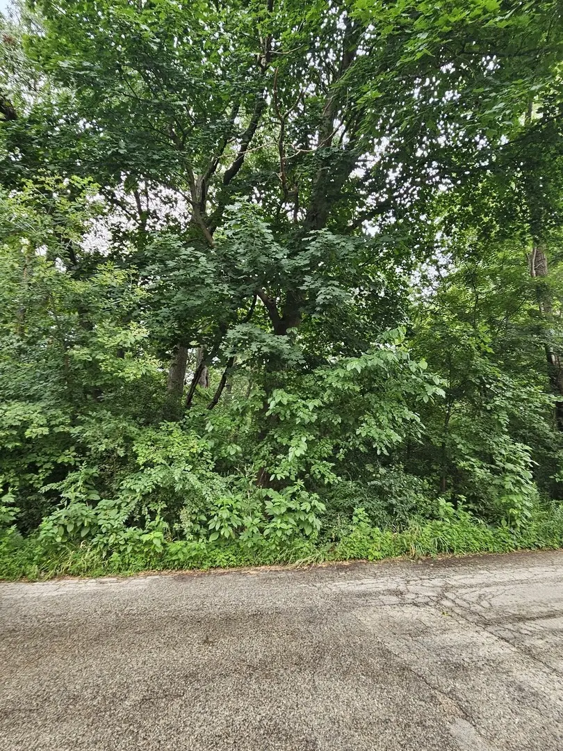 35 Ridgeland AVE, Fox Lake, IL 60020