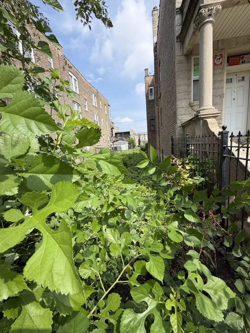 1517 S Millard AVE, Chicago, IL 60623