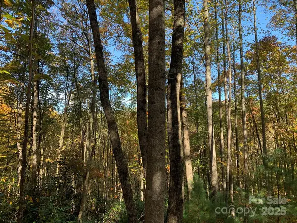 Lot# 556 Timber Rock DR #556, Lenoir, NC 28645