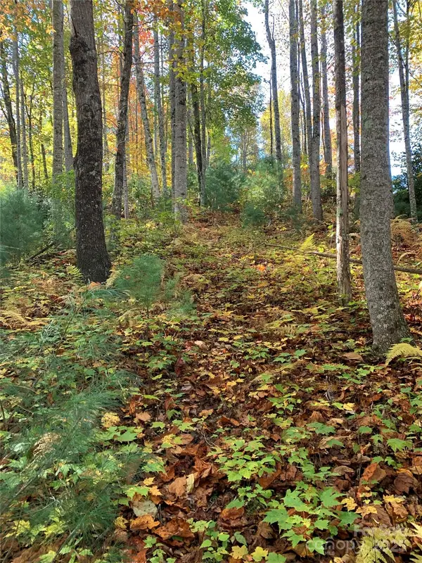 Lot# 556 Timber Rock DR #556, Lenoir, NC 28645