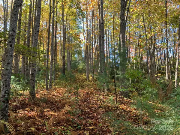 Lot# 556 Timber Rock DR #556, Lenoir, NC 28645