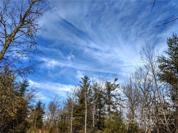 000 Emma Bri LN #F9, Hendersonville, NC 28739