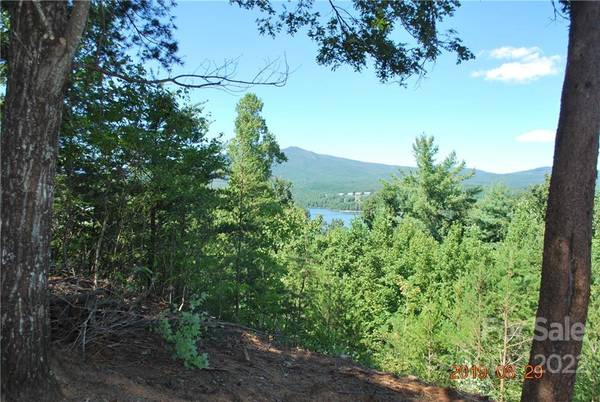 675 Harborside DR #238 & 238A, Nebo, NC 28761