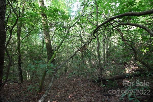 Lot 19 Gastons Bee Gum RD #19, Brevard, NC 28712