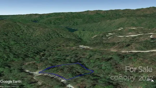 Lot 19 Gastons Bee Gum RD #19, Brevard, NC 28712