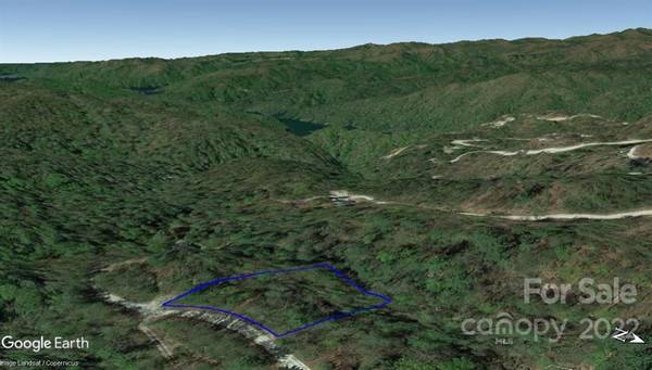 Lot 19 Gastons Bee Gum RD #19, Brevard, NC 28712