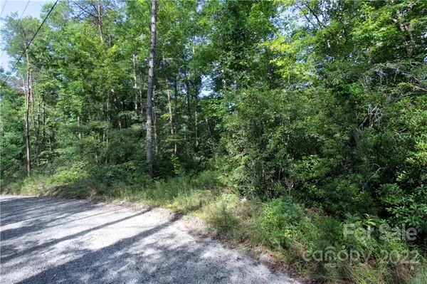 Lot 19 Gastons Bee Gum RD #19, Brevard, NC 28712