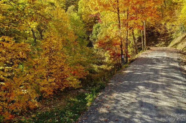 Tract 3 Sigogglin TRL, Waynesville, NC 28785