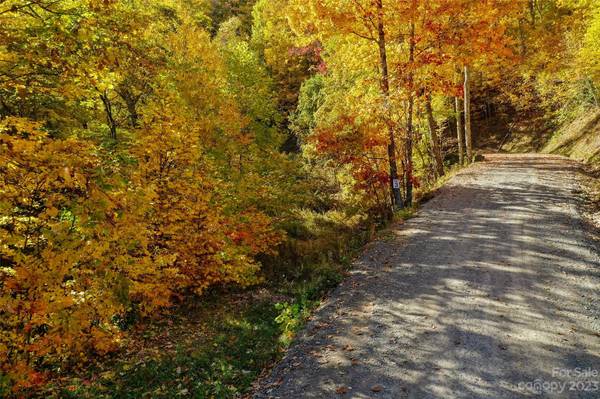 Tract 3 Sigogglin TRL, Waynesville, NC 28785