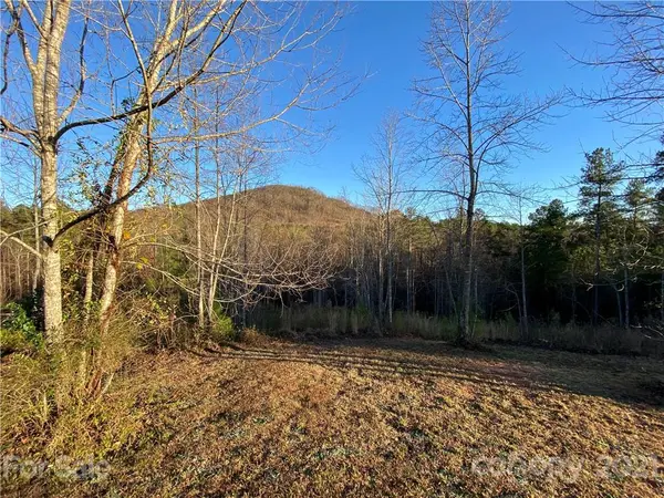 0 Bailey Off RD, Nebo, NC 28761