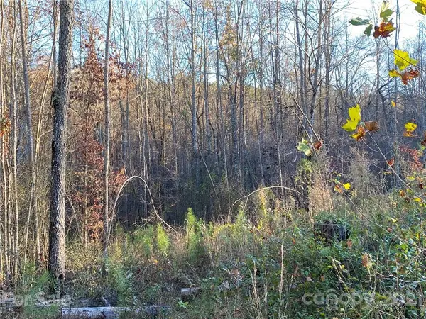 0 Bailey Off RD, Nebo, NC 28761