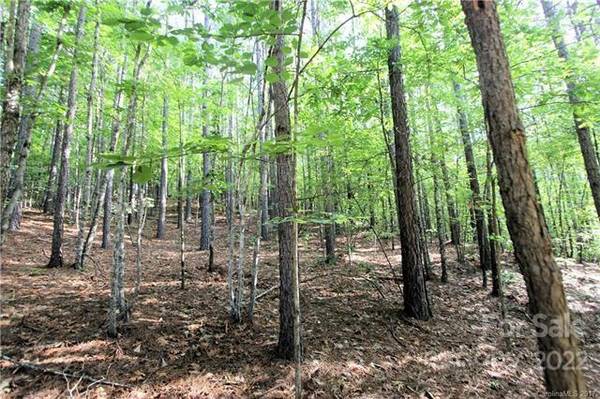 0 Chasewood DR #8, Rutherfordton, NC 28139