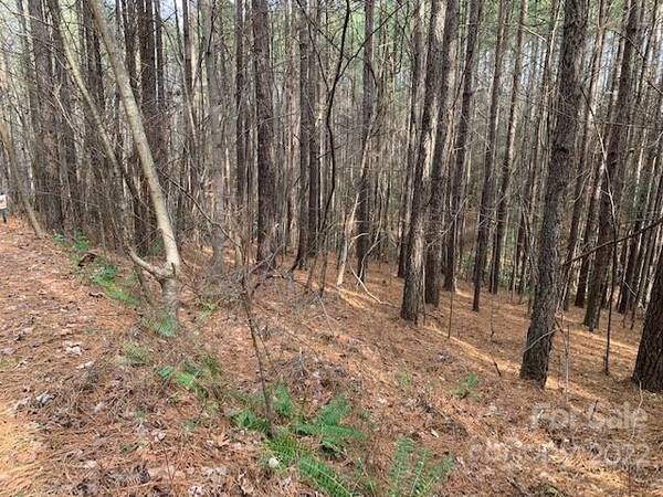 0 Chasewood DR #16, Rutherfordton, NC 28139