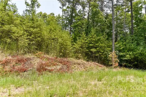 Lot 4 The Vines BLVD #Lot 4, Marshall, NC 28753