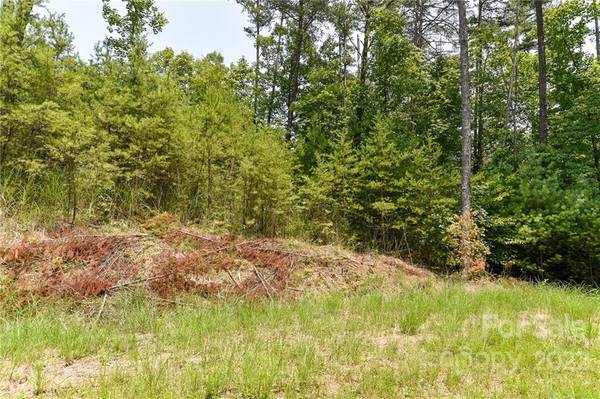 Lot 4 The Vines BLVD #Lot 4, Marshall, NC 28753