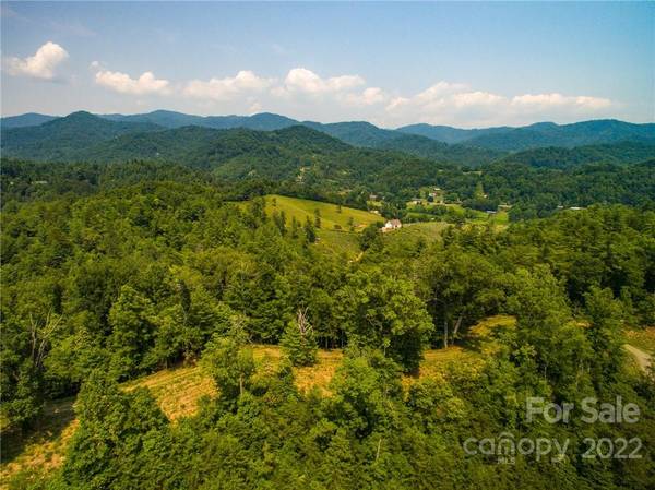 113 Chardonnay AVE #10, Marshall, NC 28753