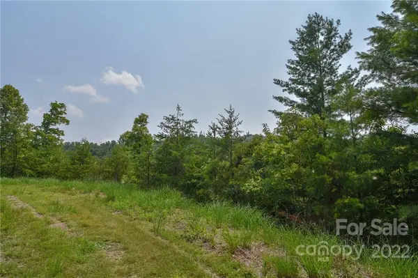 Lot 11 The Vines BLVD #Lot 11, Marshall, NC 28753