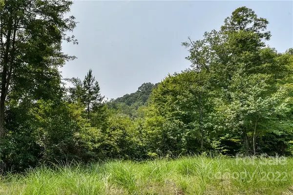 441 The Vines BLVD #15, Marshall, NC 28753