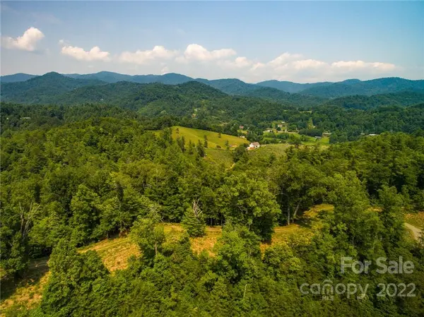 319 The Vines BLVD #21, Marshall, NC 28753