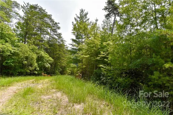 Lot 22 The Vines BLVD #Lot 22, Marshall, NC 28753