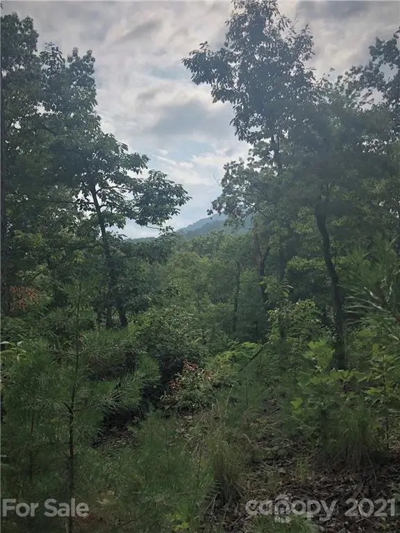 0 Lure Ridge DR #27, Lake Lure, NC 28746