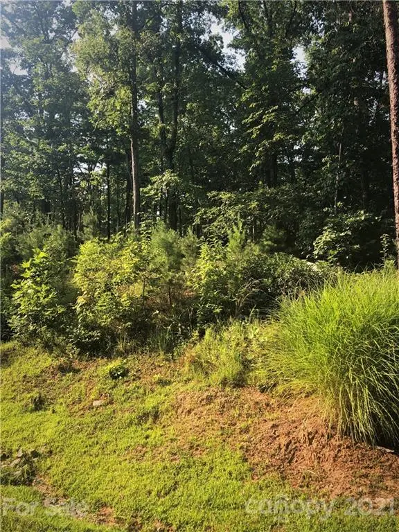 0 Lure Ridge DR #26, Lake Lure, NC 28746