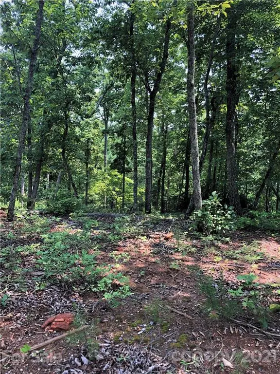 0 Lure Ridge DR #26, Lake Lure, NC 28746