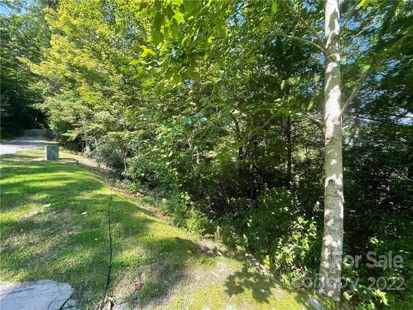 99999 Pine Mountain TRL #M37, Brevard, NC 28712
