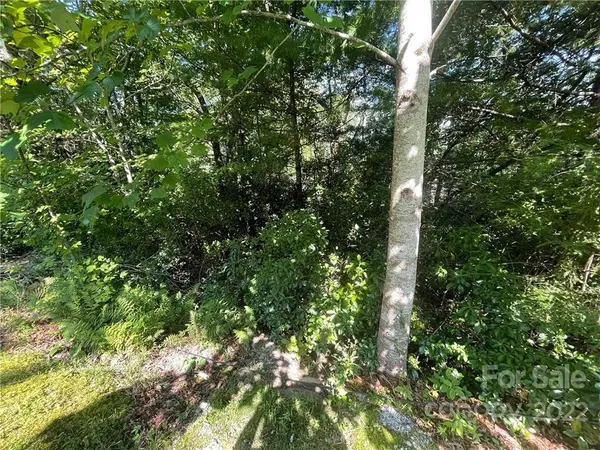 99999 Pine Mountain TRL #M37, Brevard, NC 28712