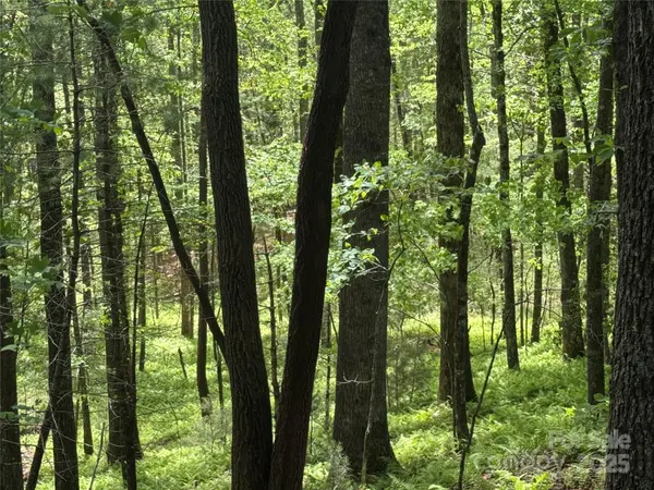 9999 Sassafras RD #4, Cedar Mountain, NC 28718