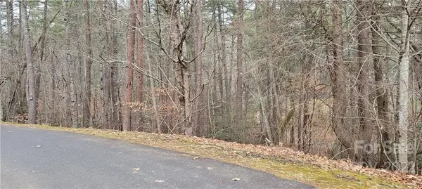 35 Settlers TRL #35, Mars Hill, NC 28754