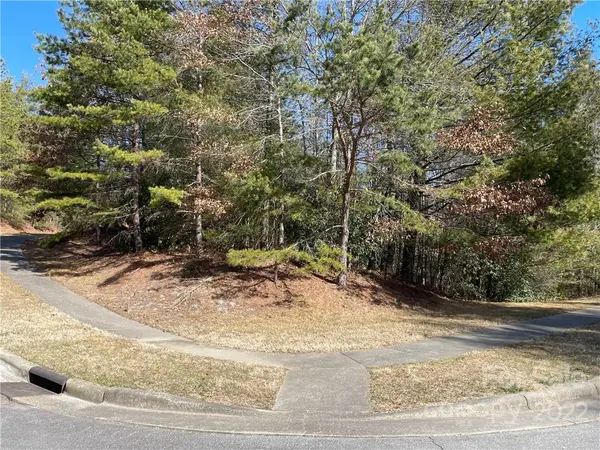 V30 Blueberry Hill RD, Brevard, NC 28712