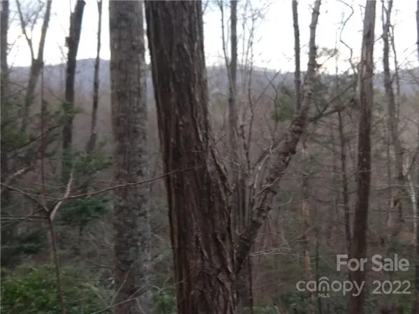 Lots 94 & 95 Rock Spring RD, Lake Lure, NC 28746