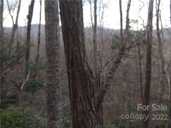 Lots 94 & 95 Rock Spring RD, Lake Lure, NC 28746